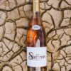 Spice Route Saffron Rosé 2023