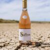 Spice Route Saffron Rosé 2023